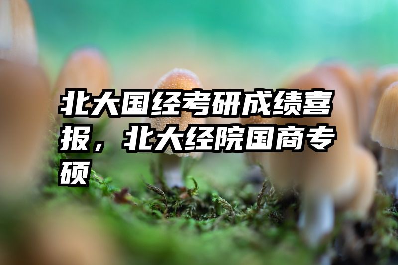 北大国经考研成绩喜报，北大经院国商专硕
