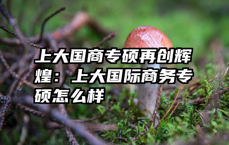上大国商专硕再创辉煌：上大国际商务专硕怎么样