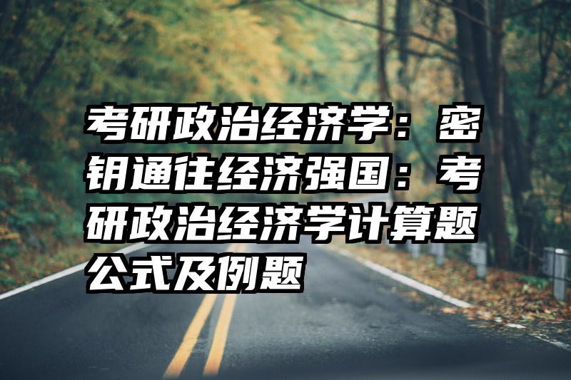 考研政治经济学：密钥通往经济强国：考研政治经济学计算题公式及例题
