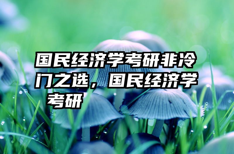 国民经济学考研非冷门之选，国民经济学 考研