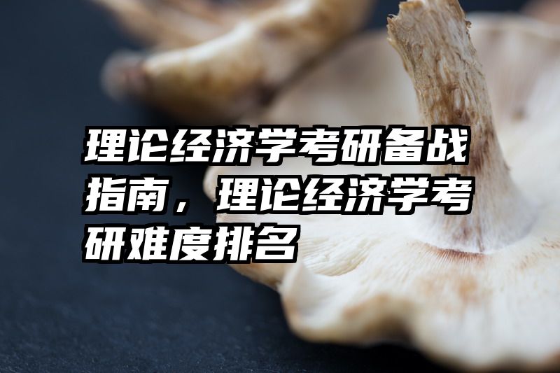 理论经济学考研备战指南，理论经济学考研难度排名