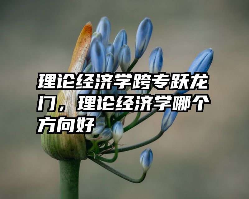 理论经济学跨专跃龙门，理论经济学哪个方向好