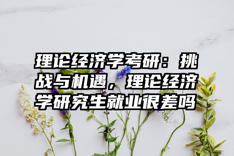 理论经济学考研：挑战与机遇，理论经济学研究生就业很差吗