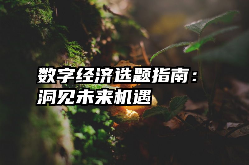 数字经济选题指南：洞见未来机遇