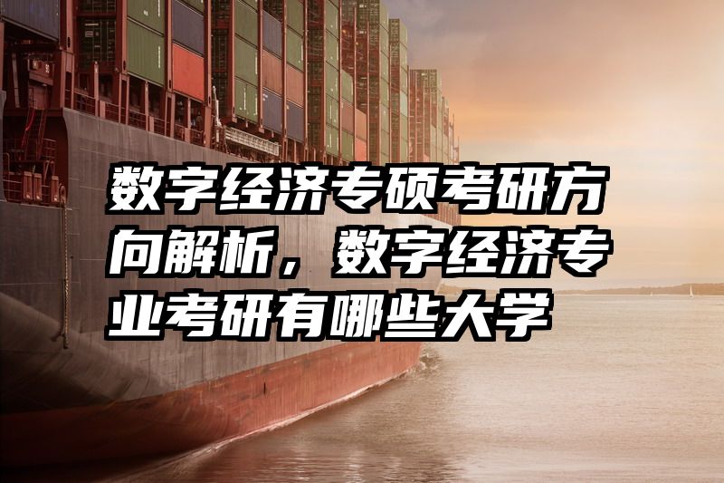 数字经济专硕考研方向解析，数字经济专业考研有哪些大学