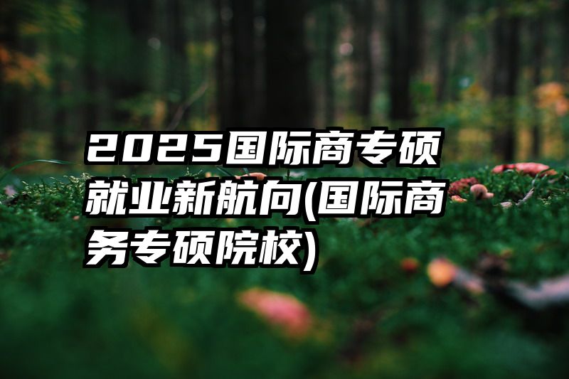2025国际商专硕就业新航向(国际商务专硕院校)