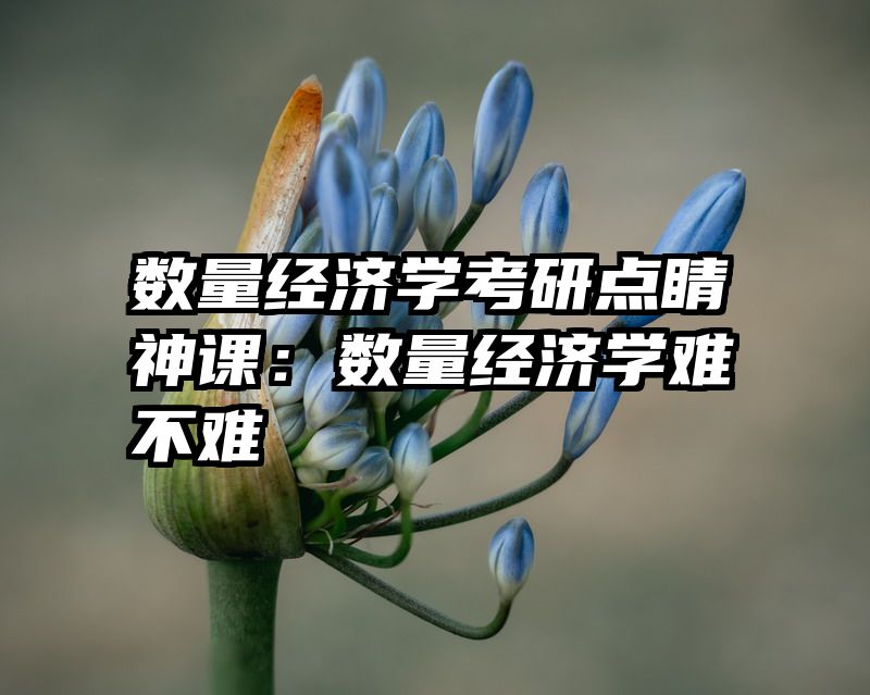 数量经济学考研点睛神课：数量经济学难不难