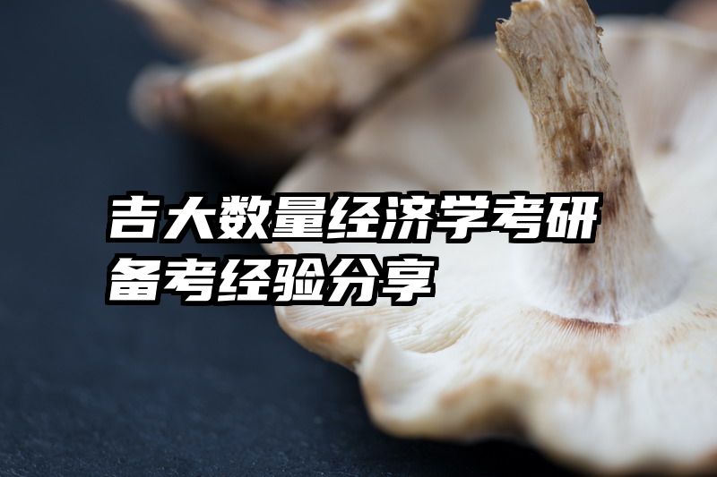 吉大数量经济学考研备考经验分享