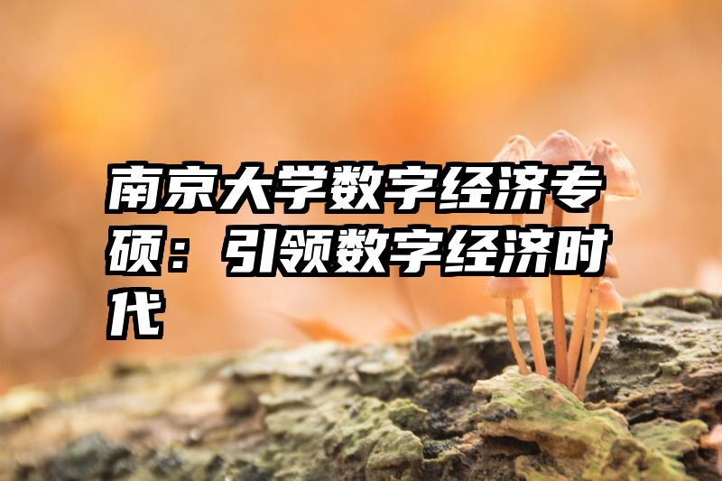 南京大学数字经济专硕：引领数字经济时代