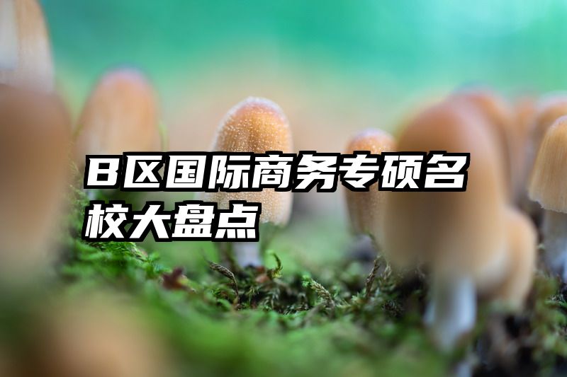 B区国际商务专硕名校大盘点