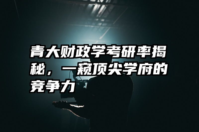 青大财政学考研率揭秘，一窥顶尖学府的竞争力