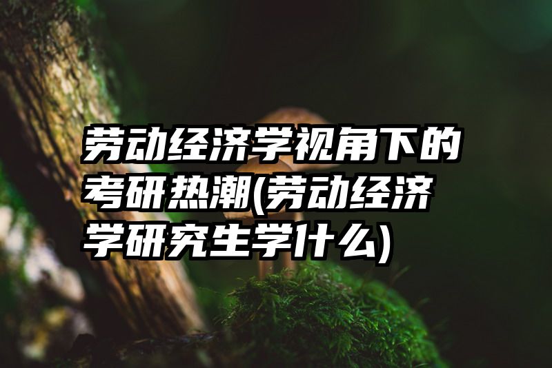 劳动经济学视角下的考研热潮(劳动经济学研究生学什么)