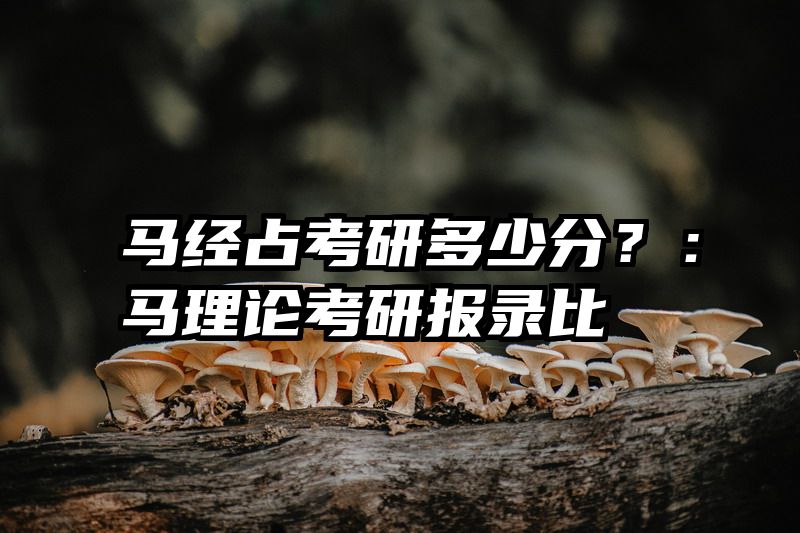 马经占考研多少分？：马理论考研报录比
