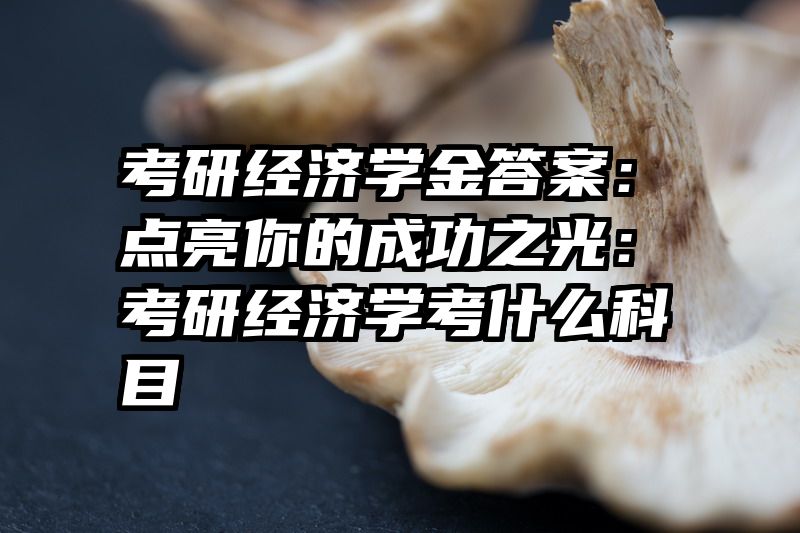 考研经济学金答案：点亮你的成功之光：考研经济学考什么科目