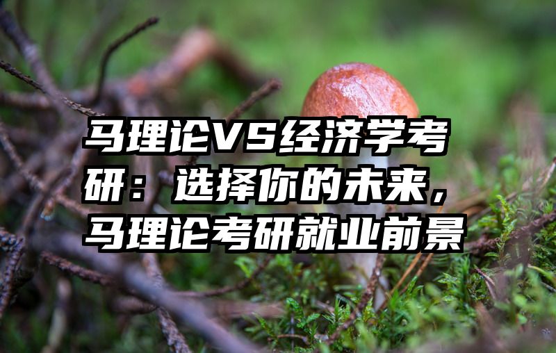 马理论VS经济学考研：选择你的未来，马理论考研就业前景