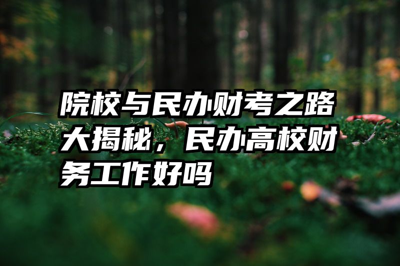 院校与民办财考之路大揭秘，民办高校财务工作好吗