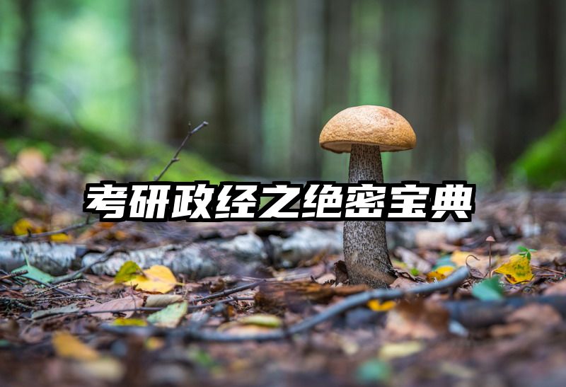 考研政经之绝密宝典