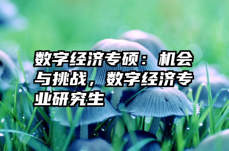 数字经济专硕：机会与挑战，数字经济专业研究生