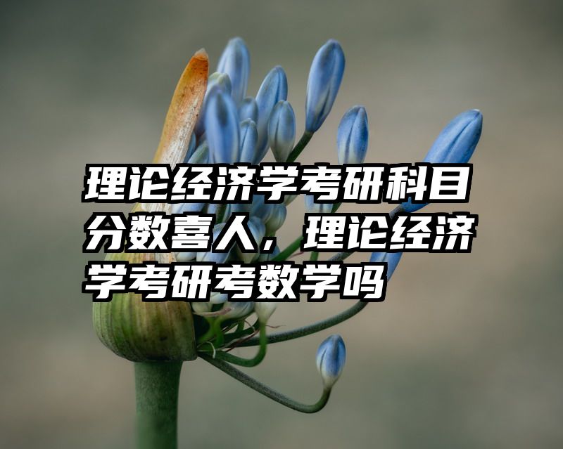 理论经济学考研科目分数喜人，理论经济学考研考数学吗
