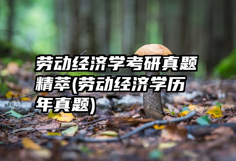 劳动经济学考研真题精萃(劳动经济学历年真题)