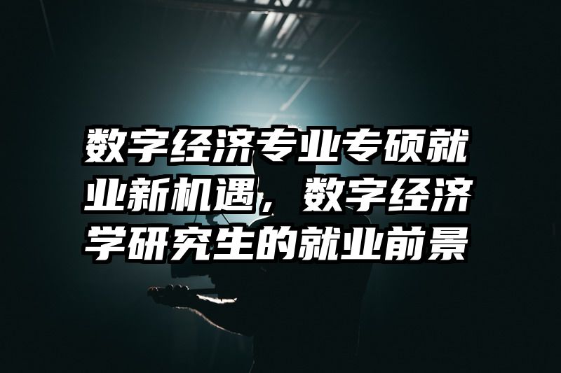 数字经济专业专硕就业新机遇，数字经济学研究生的就业前景