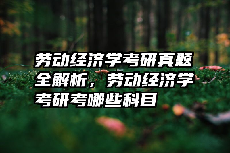 劳动经济学考研真题全解析，劳动经济学考研考哪些科目