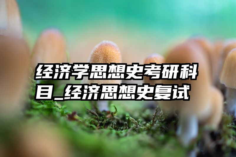 经济学思想史考研科目_经济思想史复试
