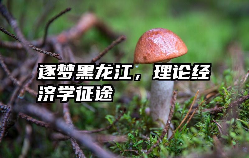 逐梦黑龙江，理论经济学征途