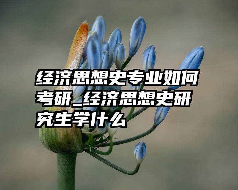 经济思想史专业如何考研_经济思想史研究生学什么