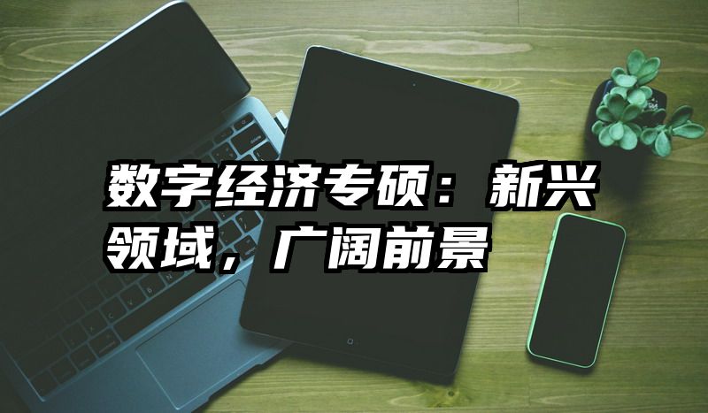 数字经济专硕：新兴领域，广阔前景