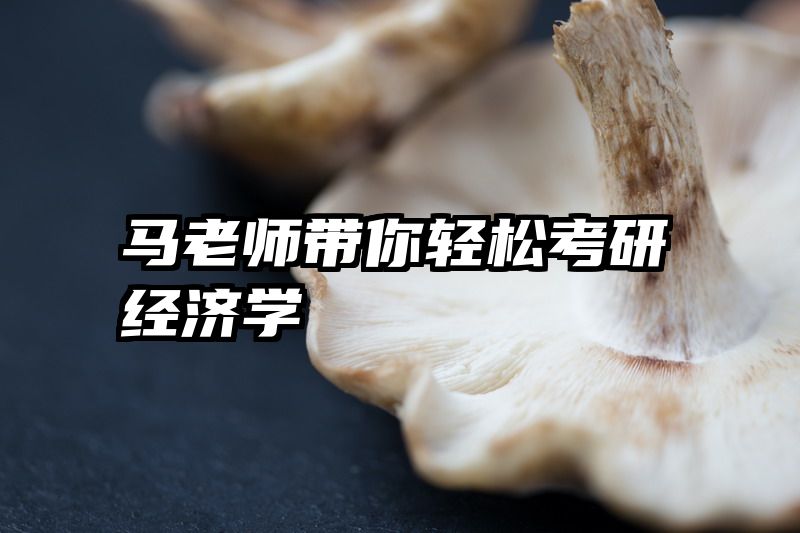 马老师带你轻松考研经济学