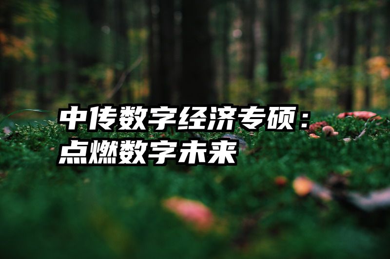 中传数字经济专硕：点燃数字未来