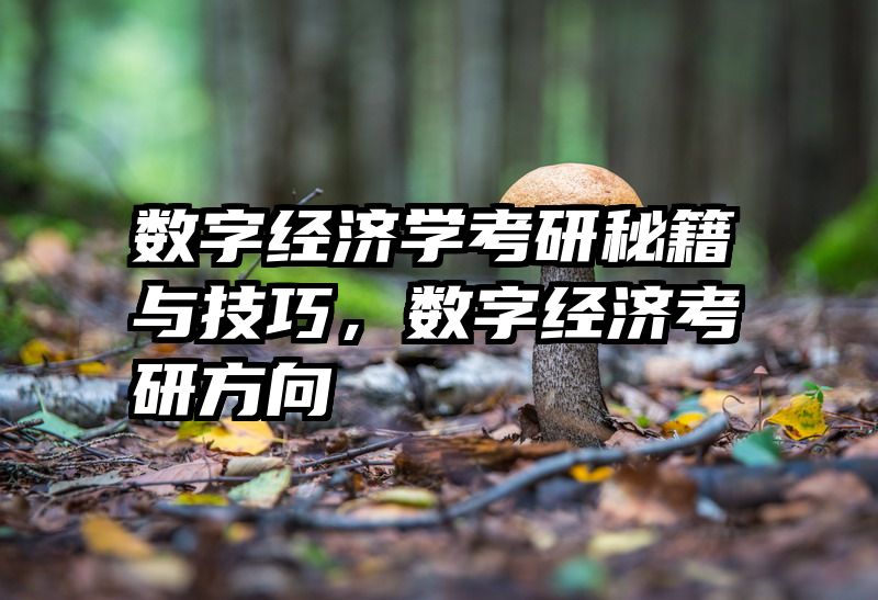 数字经济学考研秘籍与技巧，数字经济考研方向