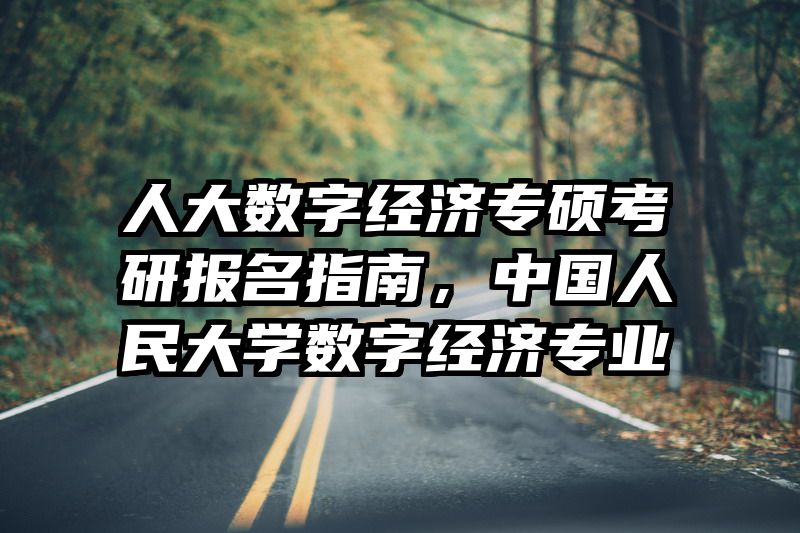 人大数字经济专硕考研报名指南，中国人民大学数字经济专业