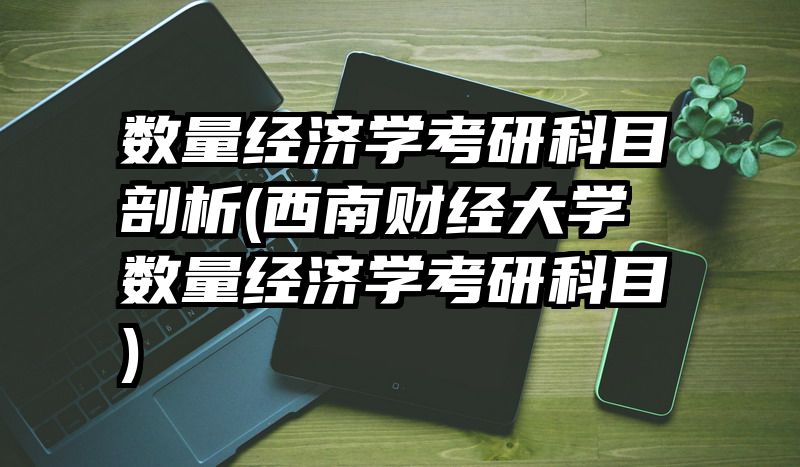 数量经济学考研科目剖析(西南财经大学数量经济学考研科目)