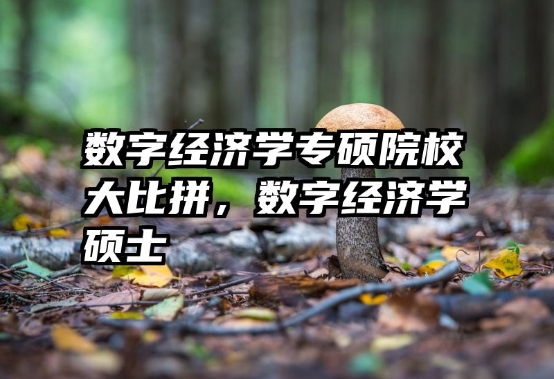 数字经济学专硕院校大比拼，数字经济学硕士