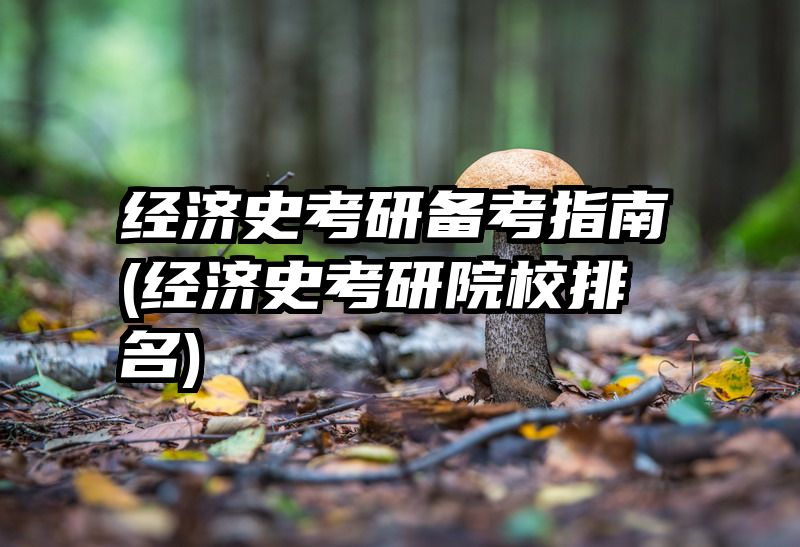 经济史考研备考指南(经济史考研院校排名)