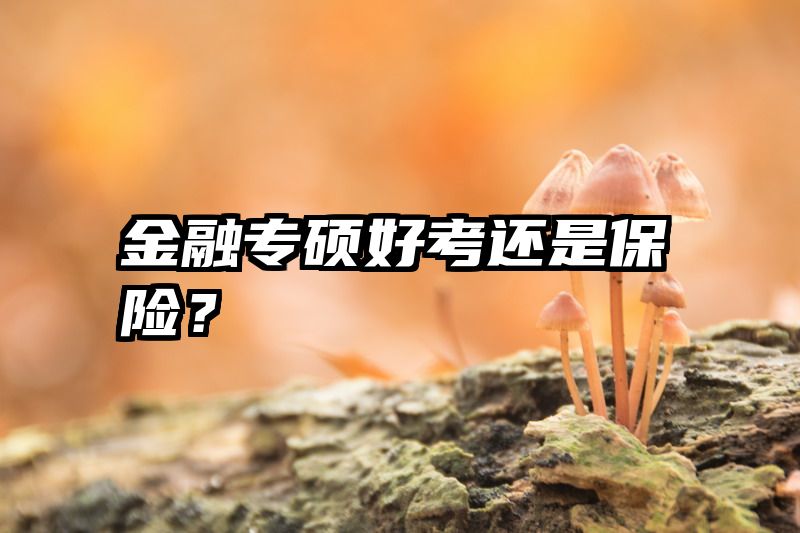 金融专硕好考还是保险？