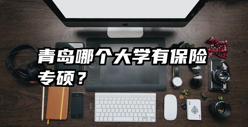 青岛哪个大学有保险专硕？