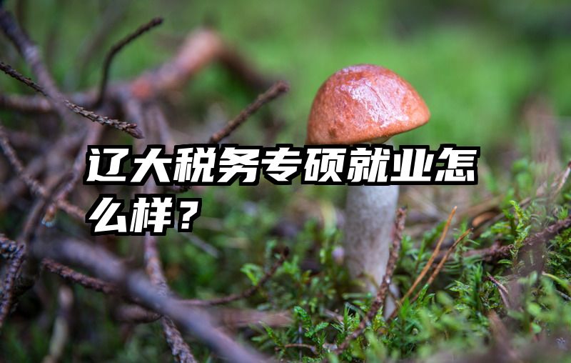 辽大税务专硕就业怎么样？