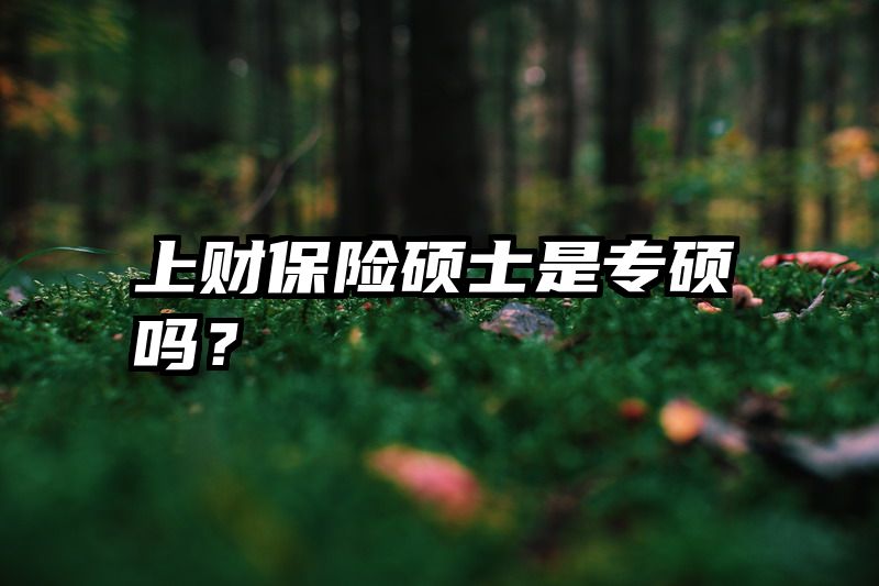 上财保险硕士是专硕吗？