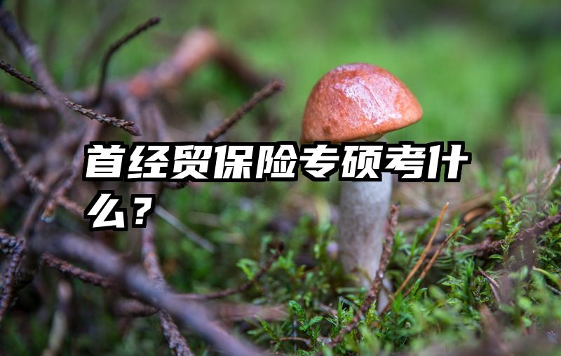 首经贸保险专硕考什么？