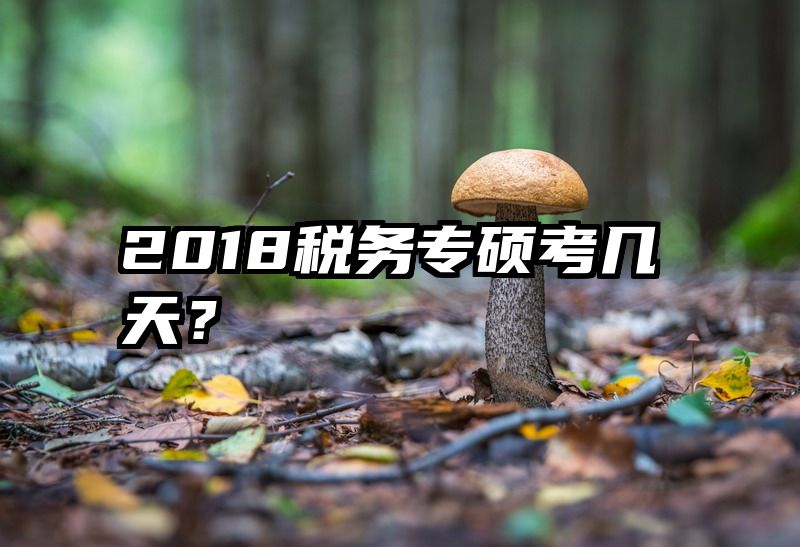 2018税务专硕考几天？