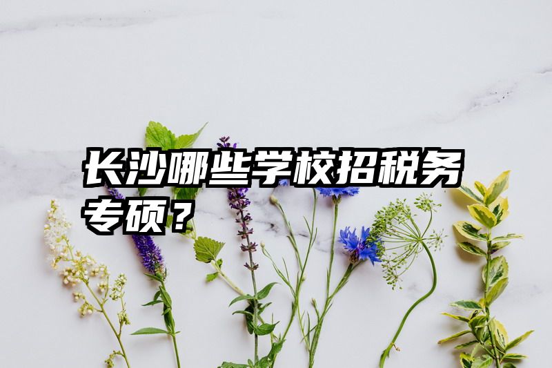 长沙哪些学校招税务专硕？