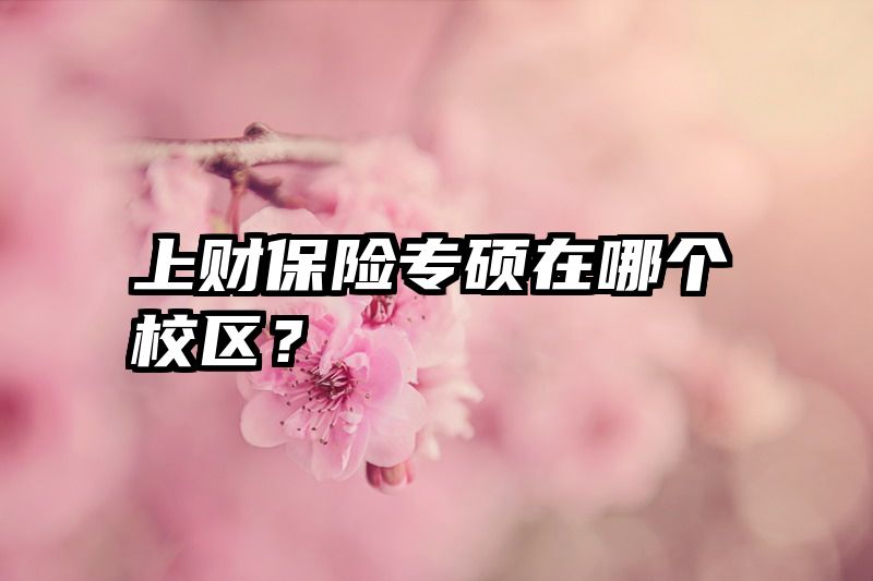 上财保险专硕在哪个校区？