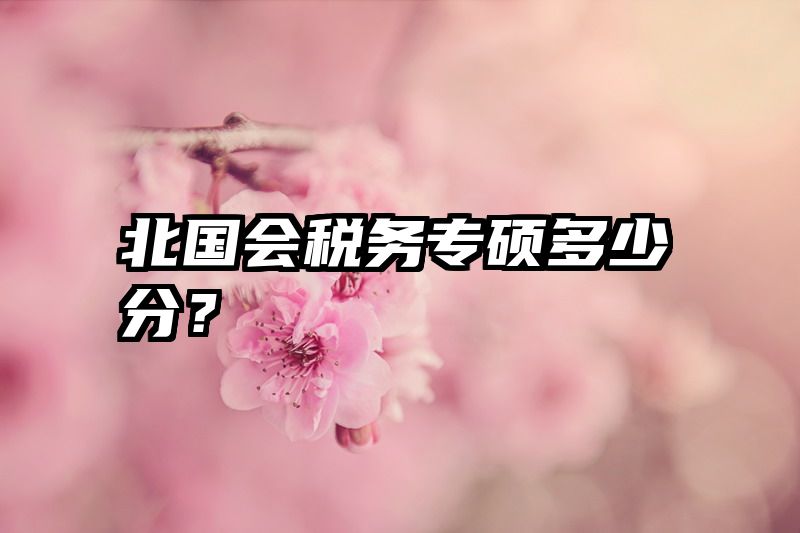 北国会税务专硕多少分？
