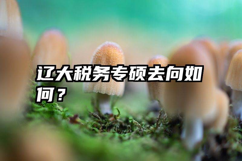 辽大税务专硕去向如何？