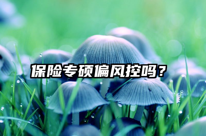保险专硕偏风控吗？