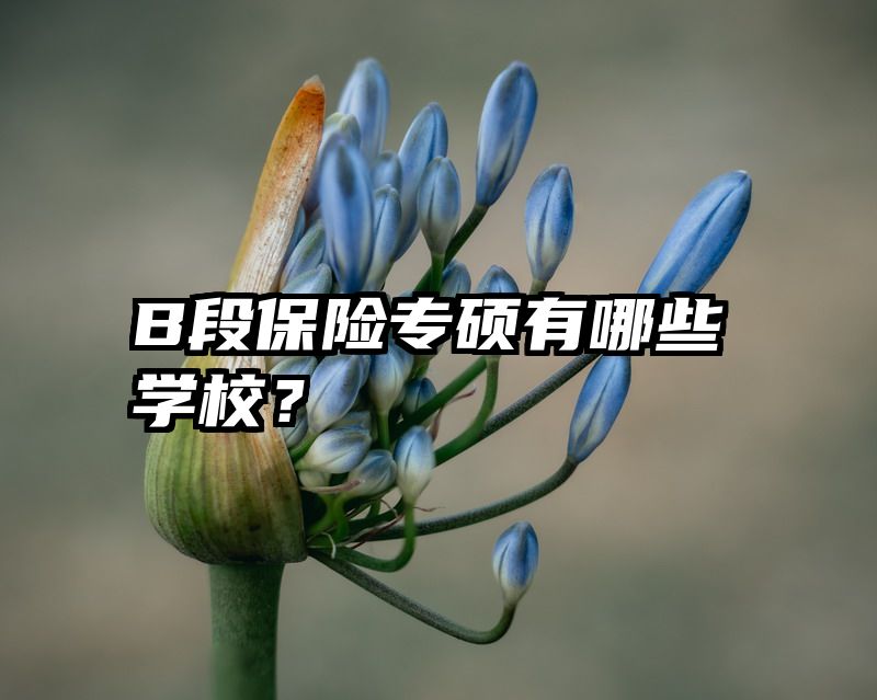 B段保险专硕有哪些学校？