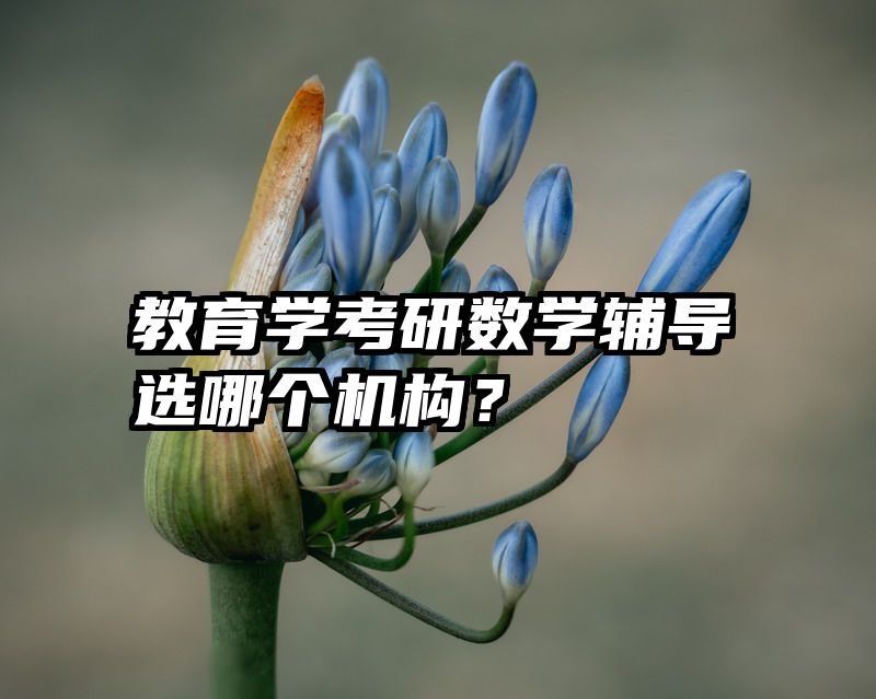 教育学考研数学辅导选哪个机构？